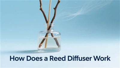 Ki jan yon diffuser wozo travay? Yon Gid konplè pou aromaterapi san flanm dife